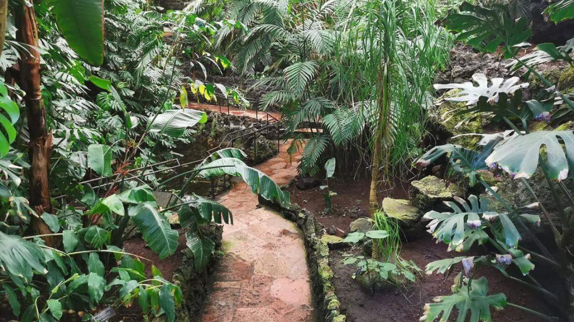 Jardín Botánico UNAM